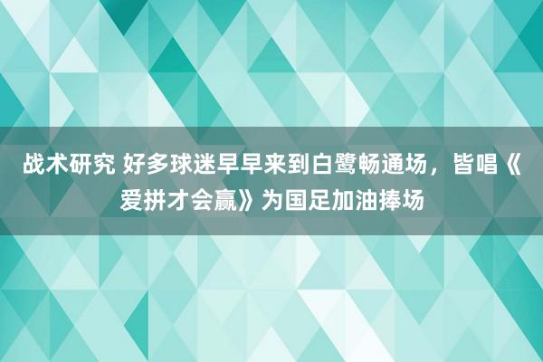 战术研究 好多球迷早早来到白鹭畅通场，皆唱《爱拼才会赢》为国足加油捧场