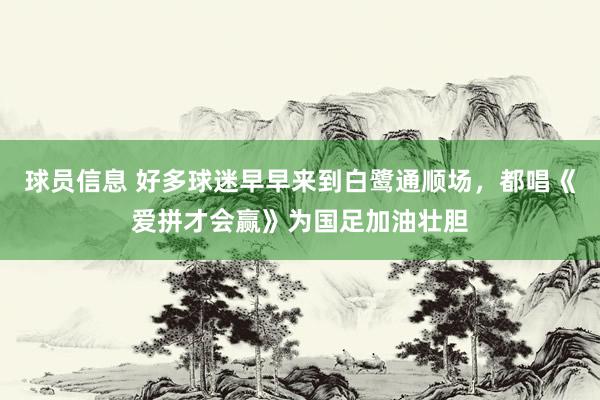 球员信息 好多球迷早早来到白鹭通顺场，都唱《爱拼才会赢》为国足加油壮胆