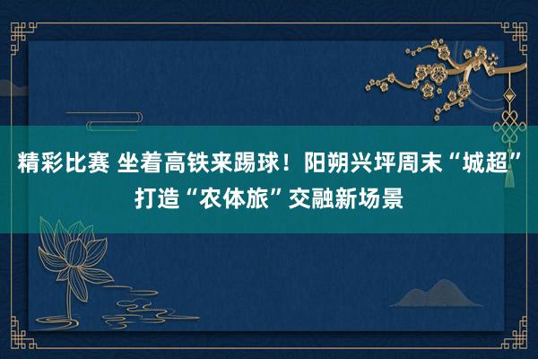 精彩比赛 坐着高铁来踢球！阳朔兴坪周末“城超”打造“农体旅”交融新场景