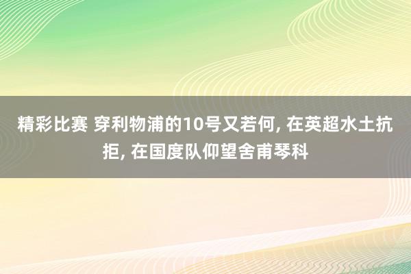 精彩比赛 穿利物浦的10号又若何, 在英超水土抗拒, 在国度队仰望舍甫琴科