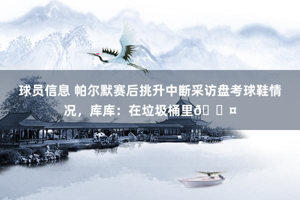 球员信息 帕尔默赛后挑升中断采访盘考球鞋情况，库库：在垃圾桶里😤