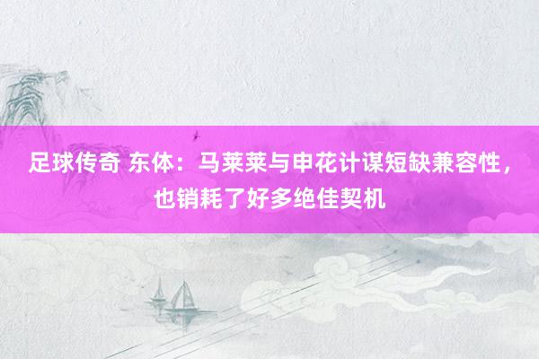 足球传奇 东体：马莱莱与申花计谋短缺兼容性，也销耗了好多绝佳契机