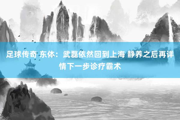 足球传奇 东体：武磊依然回到上海 静养之后再详情下一步诊疗霸术