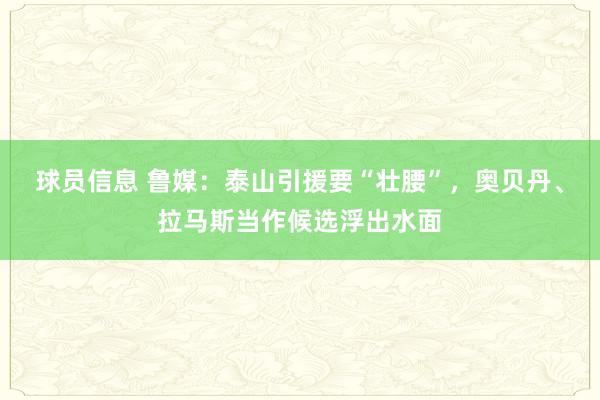 球员信息 鲁媒：泰山引援要“壮腰”，奥贝丹、拉马斯当作候选浮出水面