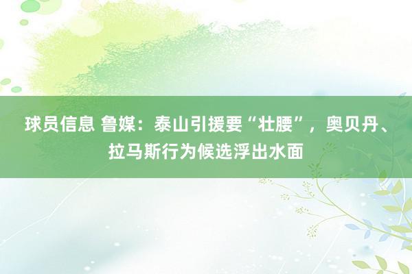 球员信息 鲁媒：泰山引援要“壮腰”，奥贝丹、拉马斯行为候选浮出水面