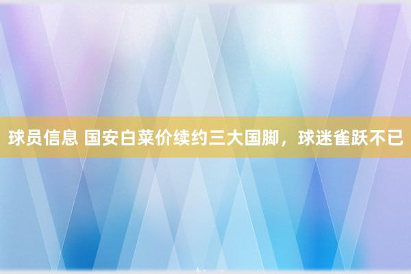 球员信息 国安白菜价续约三大国脚，球迷雀跃不已