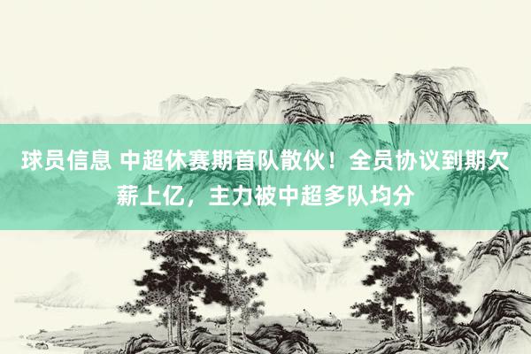 球员信息 中超休赛期首队散伙！全员协议到期欠薪上亿，主力被中超多队均分