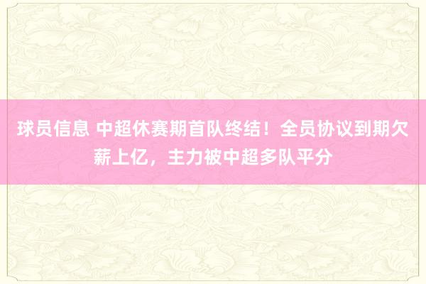 球员信息 中超休赛期首队终结！全员协议到期欠薪上亿，主力被中超多队平分