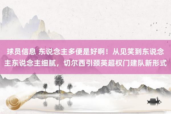 球员信息 东说念主多便是好啊！从见笑到东说念主东说念主细腻，切尔西引颈英超权门建队新形式