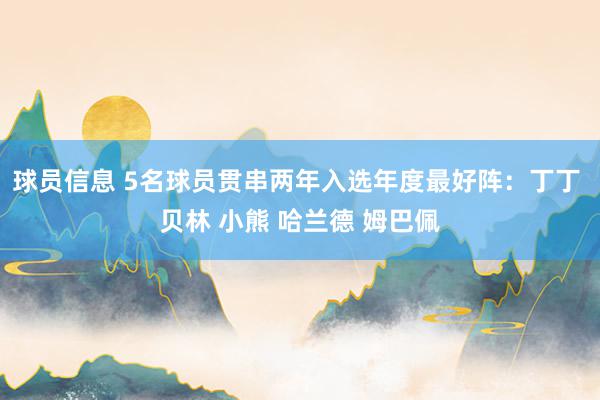 球员信息 5名球员贯串两年入选年度最好阵：丁丁 贝林 小熊 哈兰德 姆巴佩