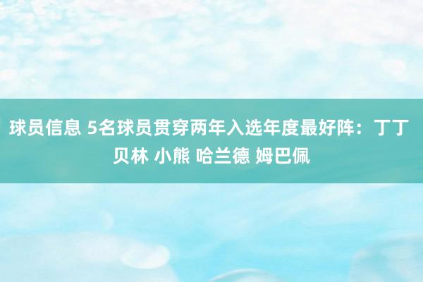 球员信息 5名球员贯穿两年入选年度最好阵：丁丁 贝林 小熊 哈兰德 姆巴佩